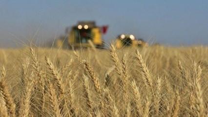 Bulgaristan da Ukrayna'dan tahıl ithalatını yasakladı