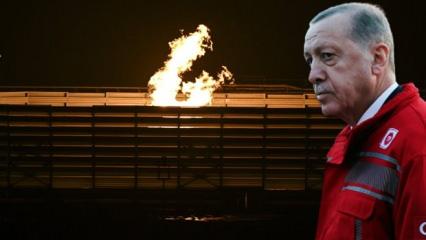Erdoğan beklenen müjdeleri duyurdu: Doğal gaz bir yıl ücretsiz! 