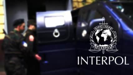 INTERPOL'den 15 ülkede operasyon: 14 bin 260 kişi gözaltında