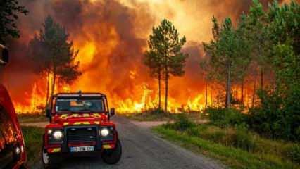 İspanya'da orman yangını: 300 kişi tahliye edildi