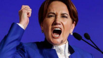 Meral Akşener'in en yakınındaki isim itiraf etti: FETÖ esir aldı