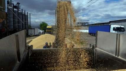 Slovakya Ukrayna'dan tahıl ithalatına yasak getirdi