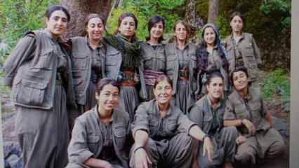 7'li masa ortağının adayı PKK mağaralarında yatmış! İşte o fotoğraflar