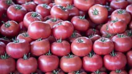 Ege domatesi Rusya'yı doyuracak - 30 Nisan günün gazete manşetleri