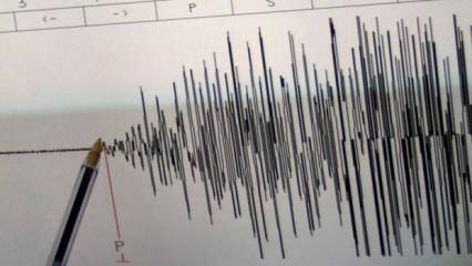 Yeni Zelanda'da 7,1 büyüklüğünde deprem