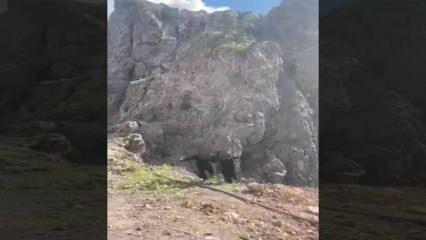 2 PKK’lı teröristin mağaradan çıkarak teslim olma anları... MSB paylaştı