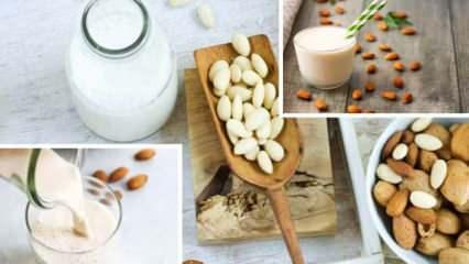 Badem sütünün faydaları ve zararları: Badem sütü mideye iyi gelir mi?