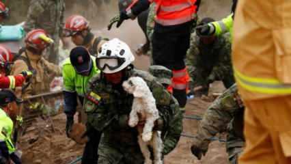 Ekvador'da toprak kayması sonucu ölenlerin sayısı 51'e yükseldi