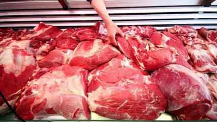 ESK, kasaplara da uygun fiyatlı kırmızı et satacak