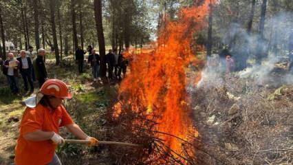 Orman yangın sezonu başladı: Açıkta ateş yakmak yasak!