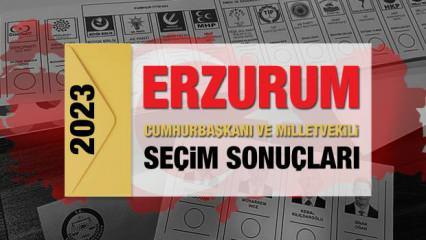 Erzurum seçim sonuçları 2023! AK Parti, CHP, MHP, İYİ Parti, TİP ve Yeşil Sol Parti oy oranları
