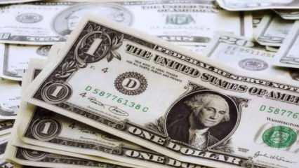 ING'den dolar tahmini: Düşüşe geçecek