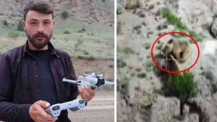 Erzurum'da belgeselleri aratmayan olay! Dişi ayı ile yavrusunu böyle öldürdü