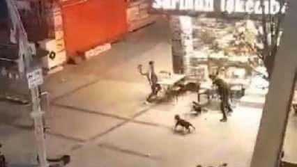 Zeytinburnu'nda pitbull ile gelip iş yerine saldırdılar
