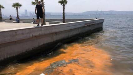 İzmir Körfezi turuncuya boyandı