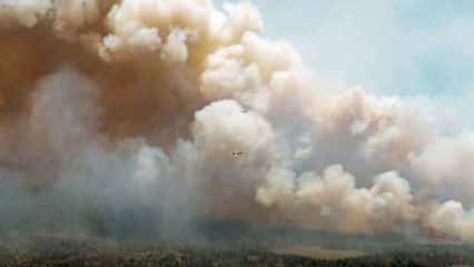 Kanada'da orman yangını: Ordu sahaya indi!