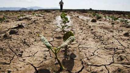Tarımsal kuraklık nedir? Türkiye'de tarımsal kuraklık ne durumda, önlemleri neler?