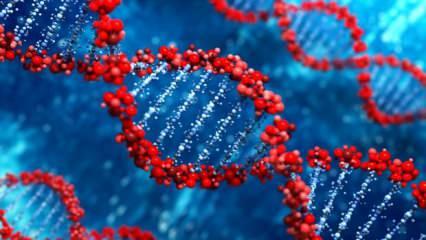 'Güvenli' denilen maddenin DNA’ya zarar verdiği ortaya çıktı! Her yerde kullanılıyor