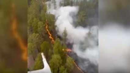 Kazakistan'da orman yangını: 14 işçi hayatını kaybetti