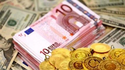 Dövizde tarihi zirve: Altın, dolar ve euro'nun neden çıktı? Uzmanlar açıkladı