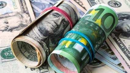 Dolar, euro ve altında tarihi zirve