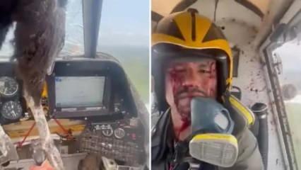 Ekvador'da inanılmaz olay: Uçağa çarpan kuş kokpite girdi pilot kanlar içinde kaldı