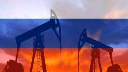 AB'nin Rusya'dan petrol ithalatı yüzde 90 azaldı