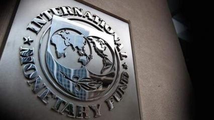 IMF'den dijital para birimi platformu