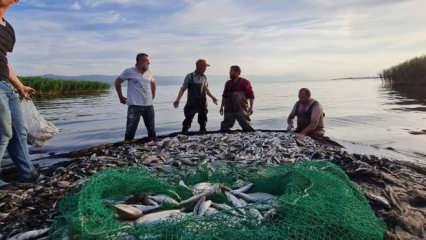 İznik Gölü'nde av sezonu balık bolluğuyla başladı