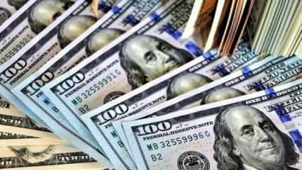 Dolar, Türk Lirası karşısında en yüksek seviyesini gördü