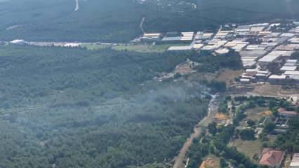 İzmir'deki orman yangını kontrol altında