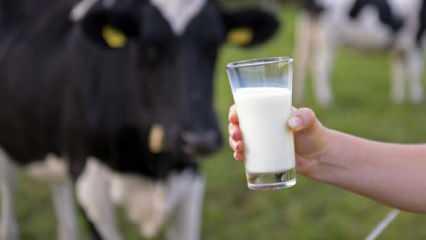 Çiğ süt referans fiyatının market satış fiyatlarına etmeyecek