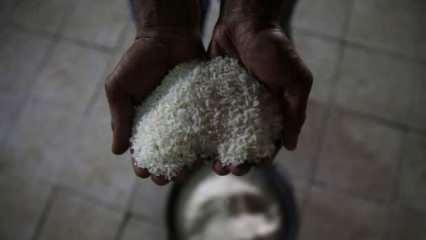 Pirinç fiyatlarına El Niño dopingi