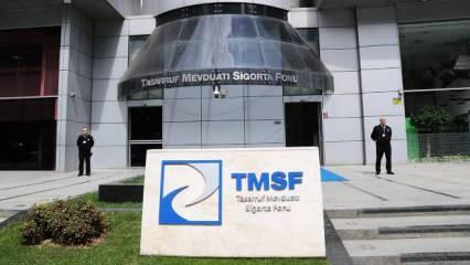TMSF'ye devredilen şirketlerin bilançosu katlanarak artıyor