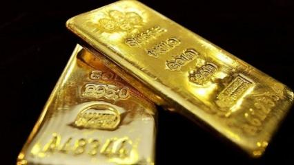 İsviçre'den Türkiye’ye 13,13 ton altın