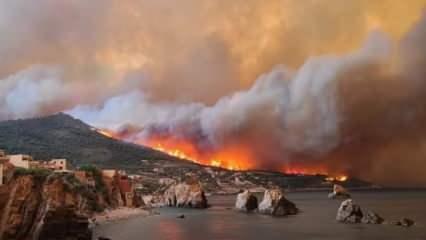 Cezayir'de orman yangınları: Ölü sayısı 34'e yükseldi