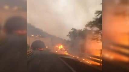 İtalya'dan korkunç görüntüler! Orman yangınları hayatı olumsuz etkiliyor