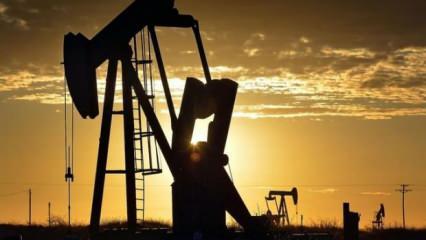 TPAO, 3 adet petrol arama ruhsatının süresini uzatmak için başvuruda bulundu