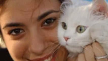 Damla Koray kimdir ve kaç yaşında? Damla Koray ne mezunu? Eğitimi ve daha fazlası