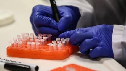 İngiltere'de bilim insanları "olmayan hastalıklar için" aşı üretmeye çalışıyor