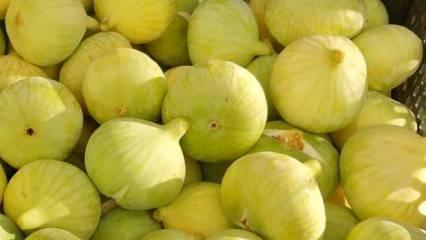 Mersin'de beyaz incir bu yıl altın yılını yaşıyor