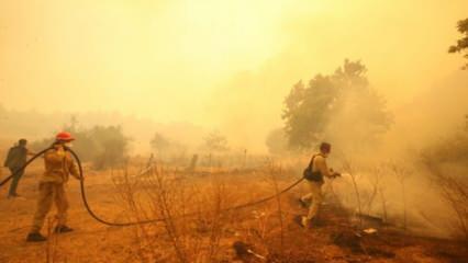Çanakkale’de orman yangını: İki köy boşaltıldı!