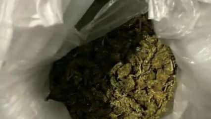 Gaziantep'te 26 kilogram skunk ele geçirildi