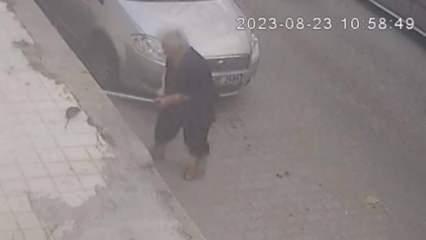İzmir'de fare dehşeti! Yaşlı kadını hastanelik etti
