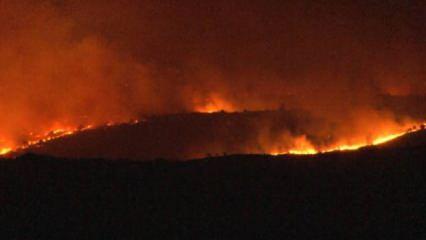 Bulgaristan'daki orman yangını Türkiye'ye ilerliyor! Ekipler ve köylüler teyakkuzda