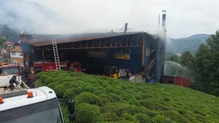 Rize'de çay fabrikasında yangın çıktı!