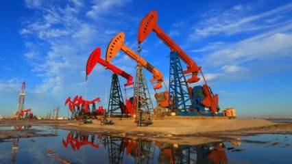 Brent petrol fiyatı el yakıyor