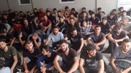 Edirne'de 89 kaçak göçmen yakalandı
