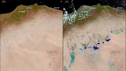 Yağış o kadar kuvvetliydi ki Sahra Çölü'nü bile su bastı