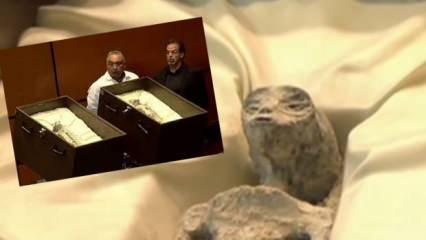 Meksika parlamentosunda 'uzaylı cesetleri' mi sergilendi! Dünyanın konuştuğu görüntüler